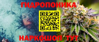 ГАЛЛЮЦИНОГЕННЫЕ ГРИБЫ Гусь-Хрустальный