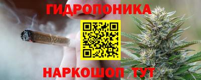 ГАЛЛЮЦИНОГЕННЫЕ ГРИБЫ Гусь-Хрустальный